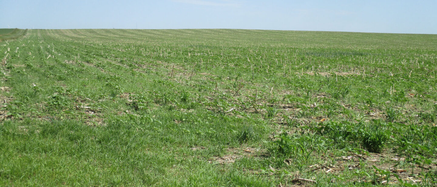 Swartz land sale 3
