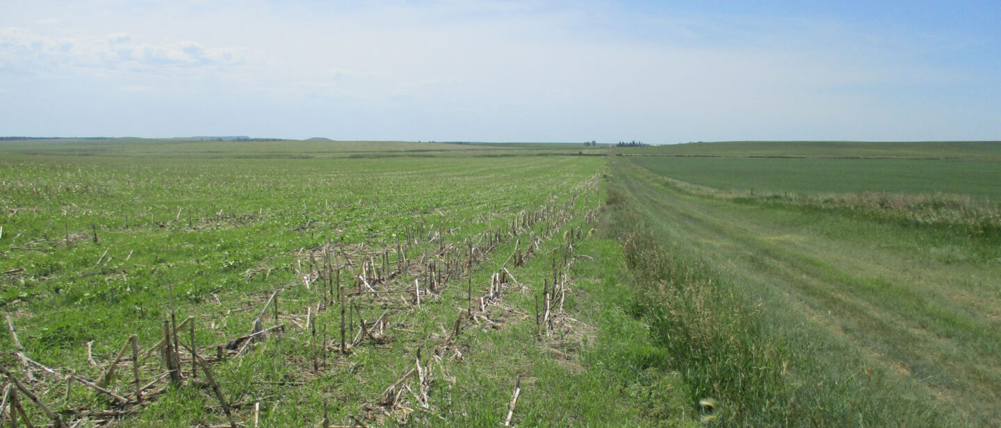 Swartz land sale 6