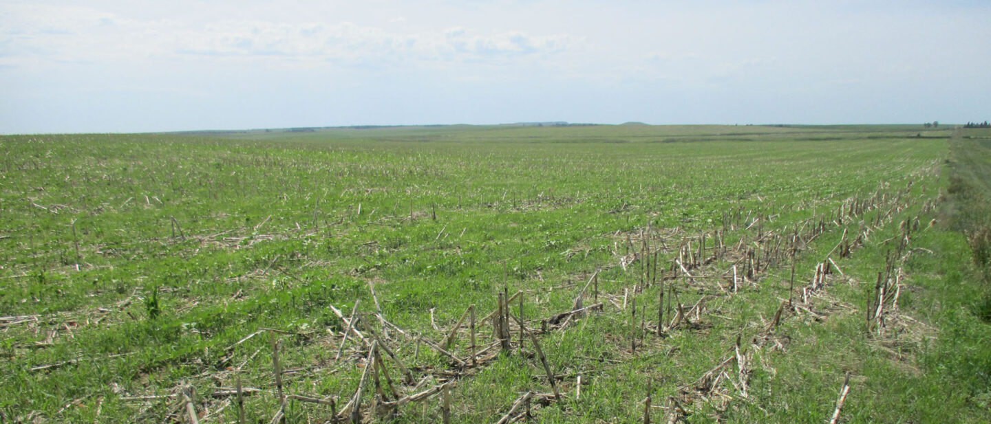 Swartz land sale 7
