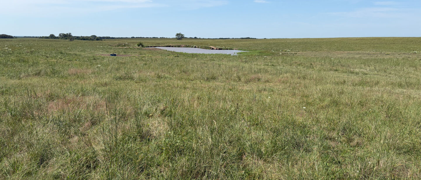 T1 9