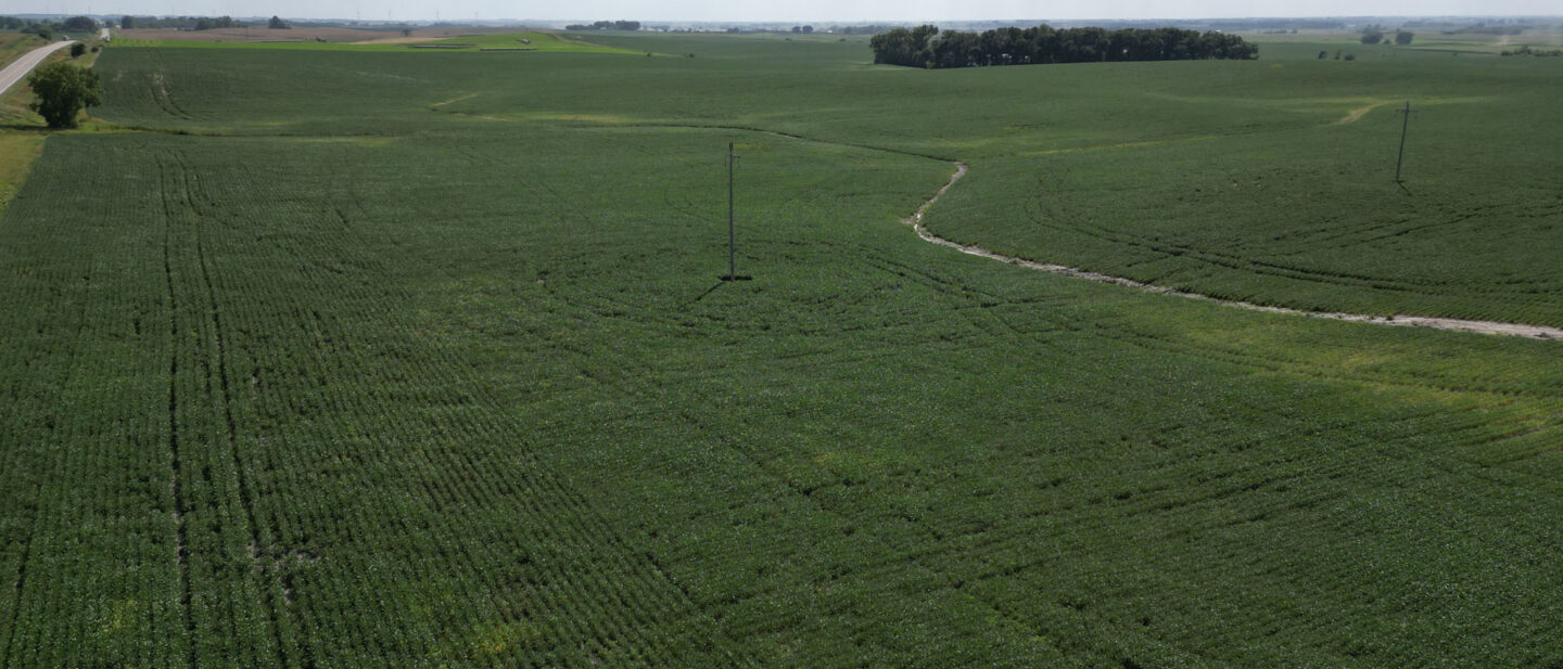 T1 Drone Pic