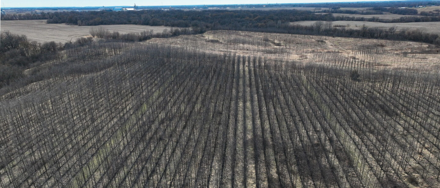 T10 DJI 0567 WEB