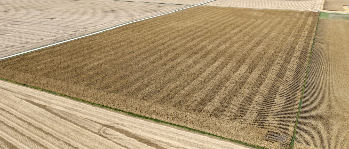 T1 Cropland 2