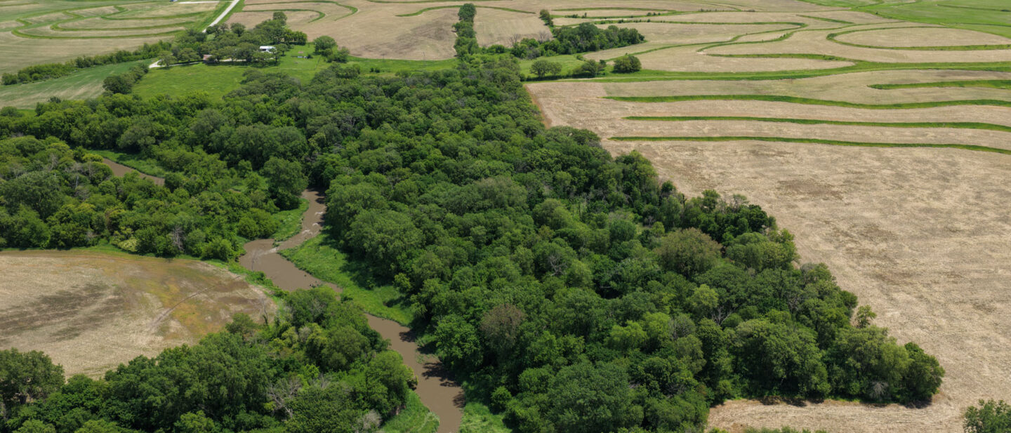 T1 DJI 20260602130538 0041 D