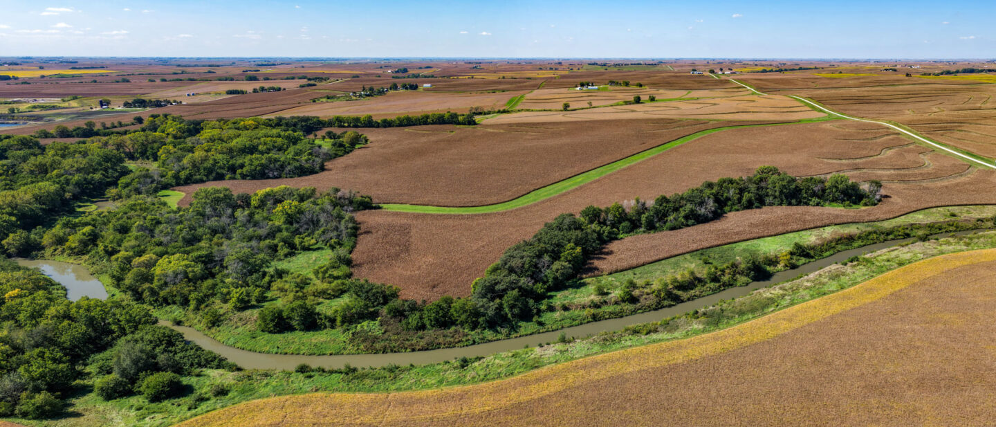 T1 Panorama 2
