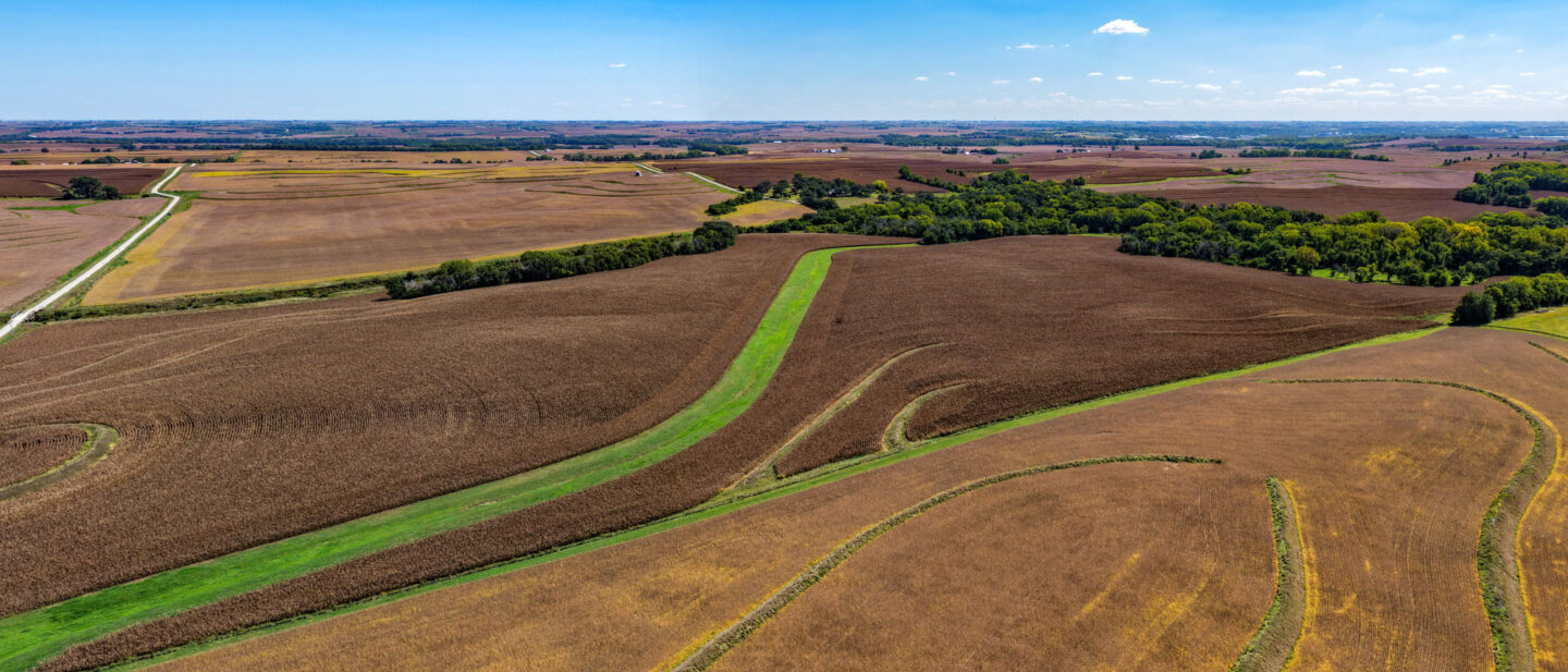 T1 Panorama 3