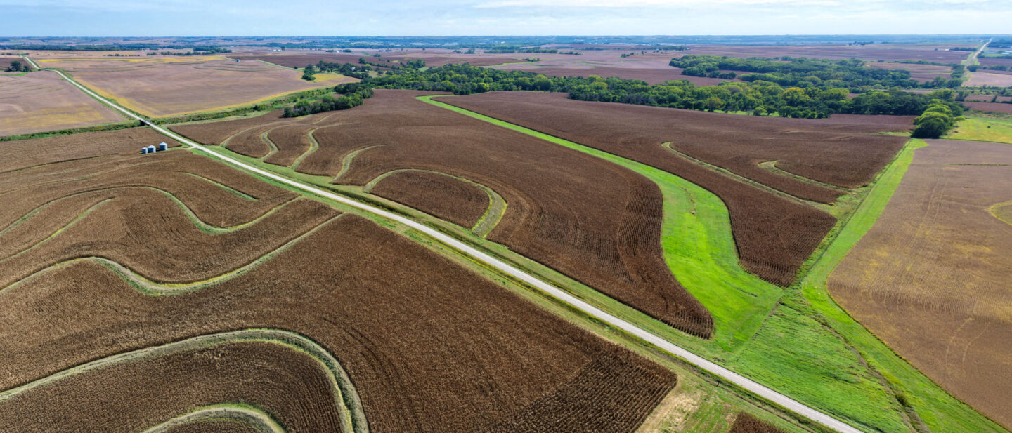 T1 Panorama 4