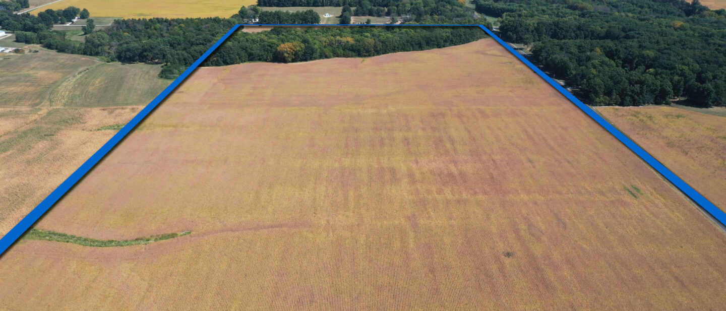 T2 BORDER DJI 0131