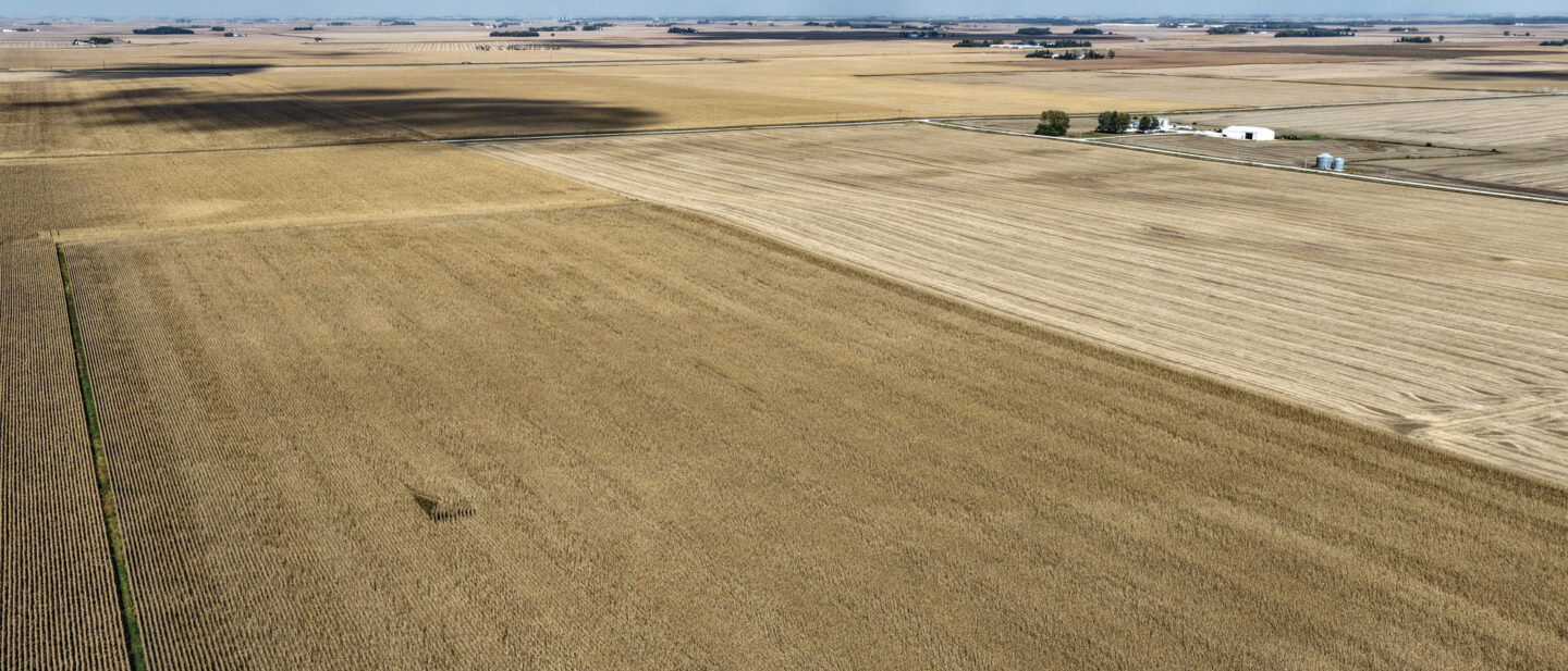 T2 Cropland 1