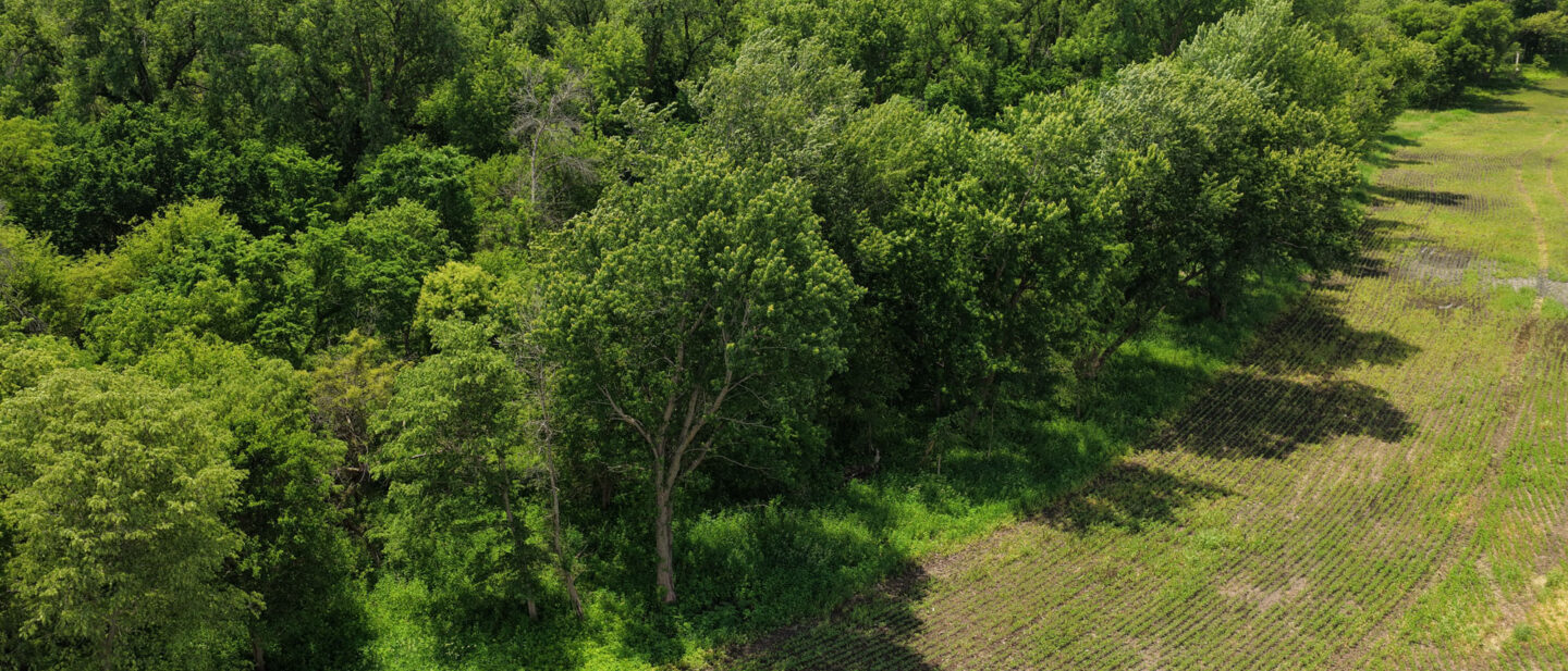 T2 DJI 20260602125000 0017 D