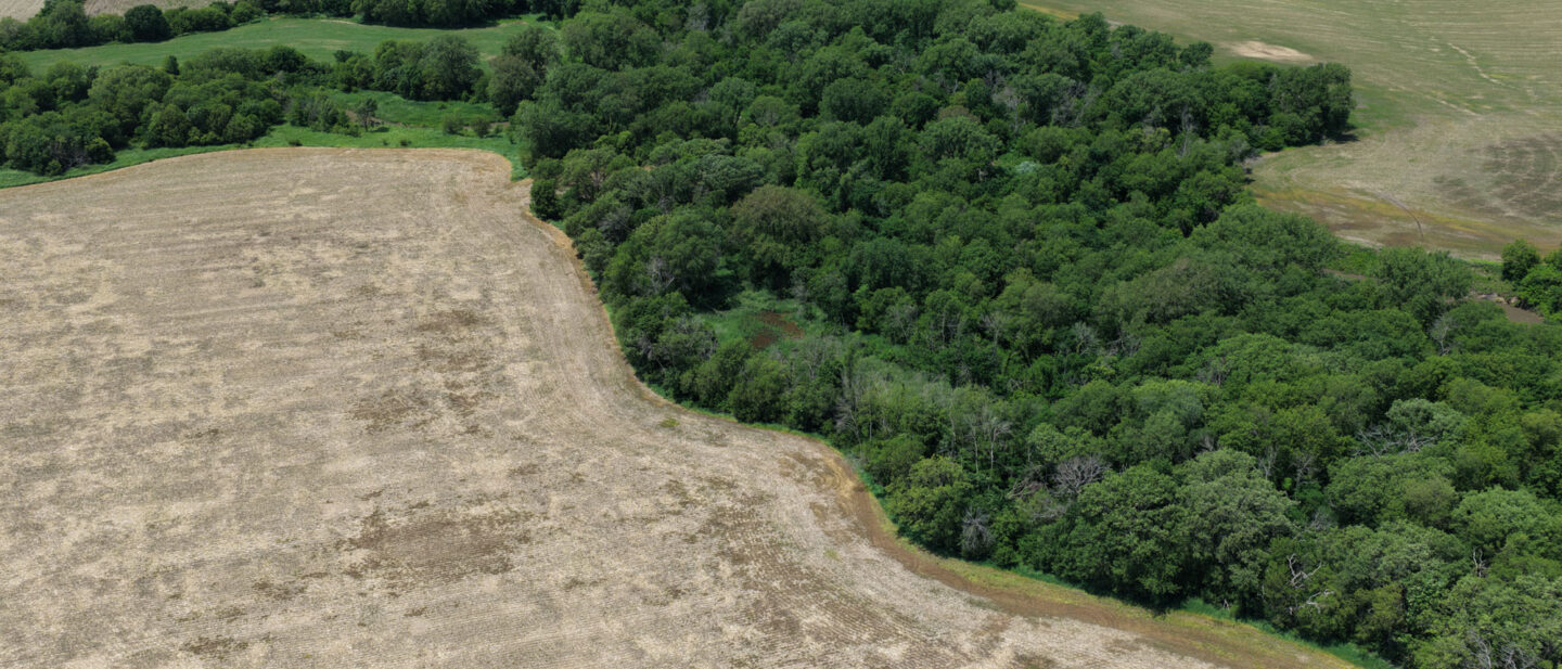 T2 DJI 20260602131904 0061 D