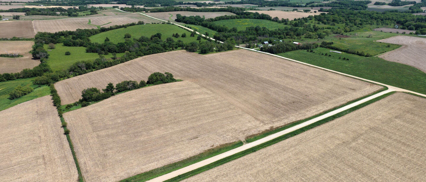 T2 Panorama 1