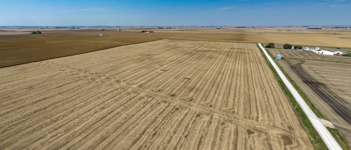 T2 cropland 2