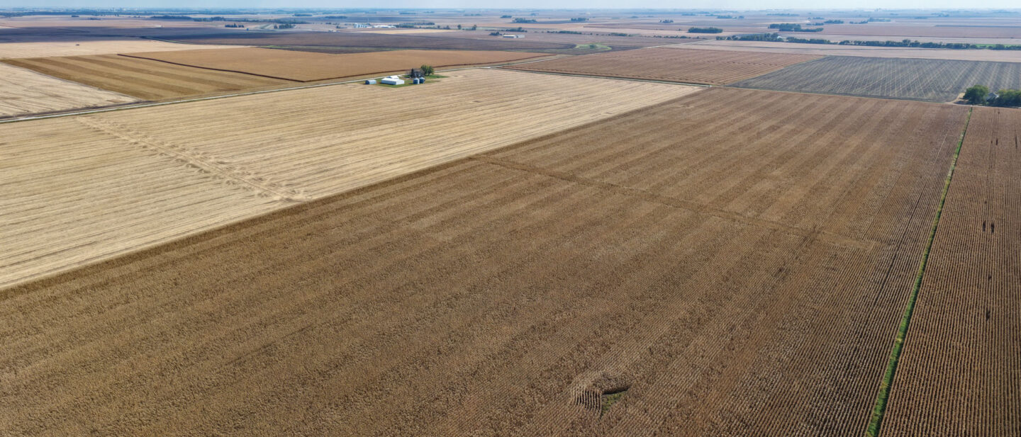 T3 Cropland 2