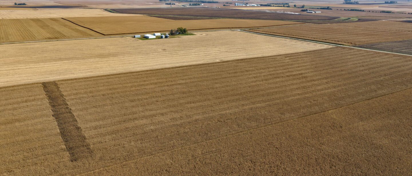 T3 cropland 1