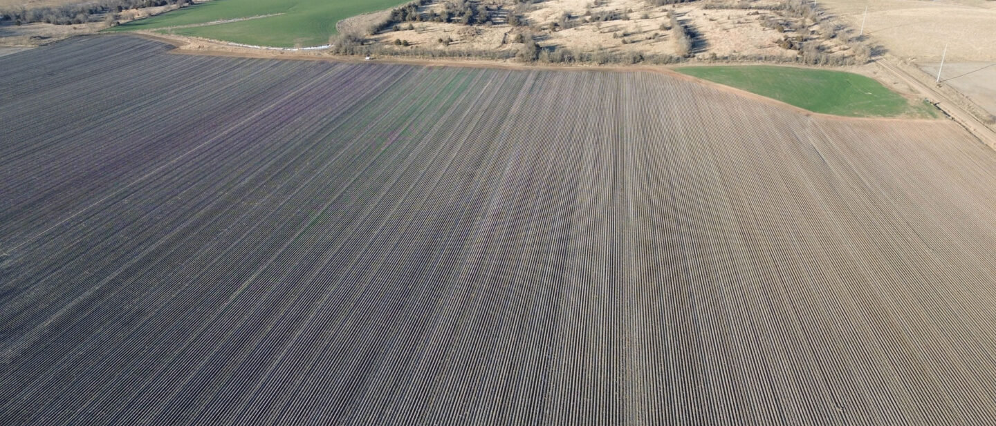 Thayer Cropland Sale Tract1 3