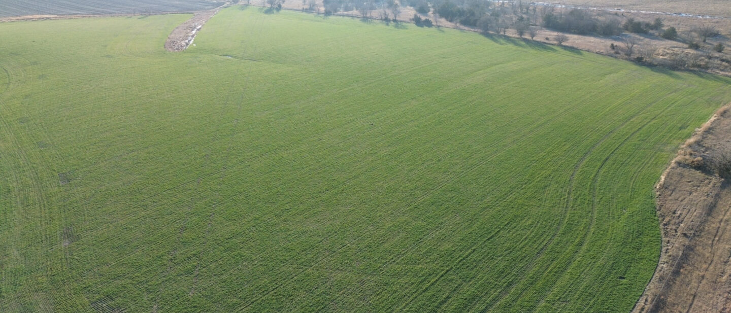 Thayer Cropland Sale Tract1 4