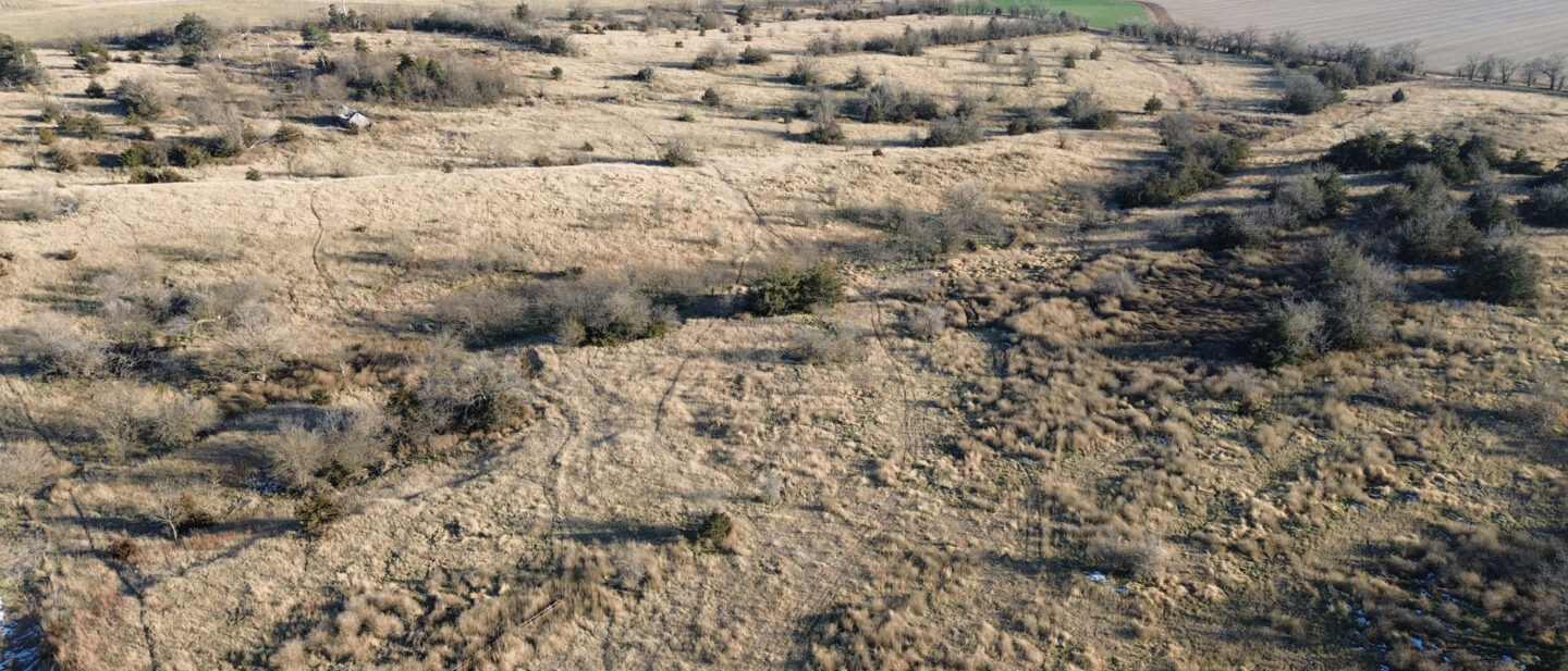 Thayer Cropland Sale Tract1 5