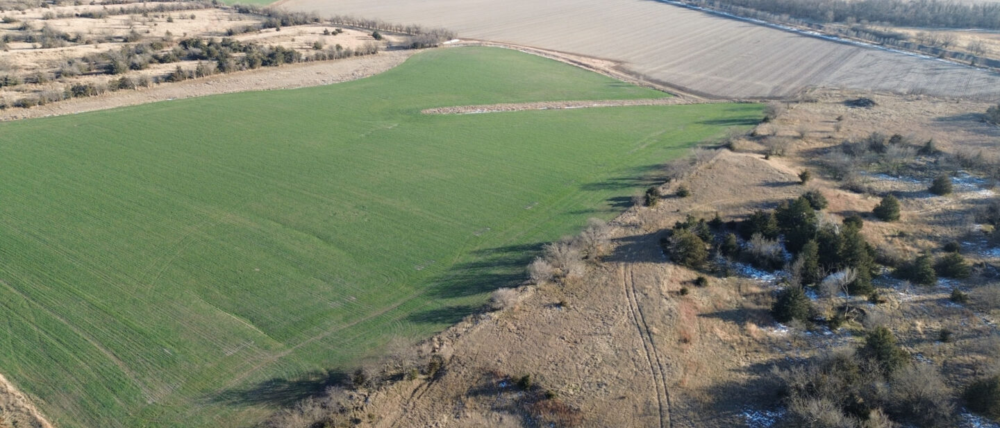 Thayer Cropland Sale Tract1 6