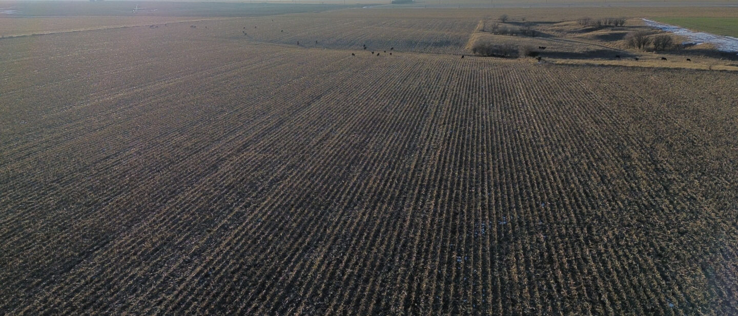 Thayer Cropland Sale Tract2 3