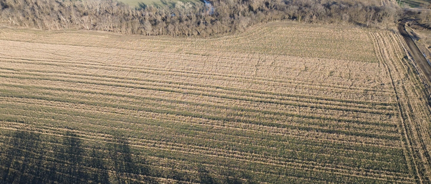 Thayer Cropland Sale Tract3 3