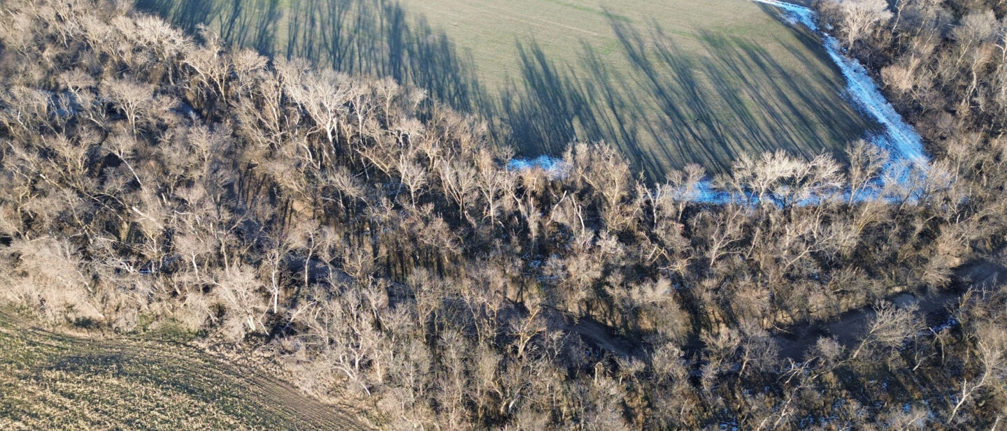 Thayer Cropland Sale Tract3 4