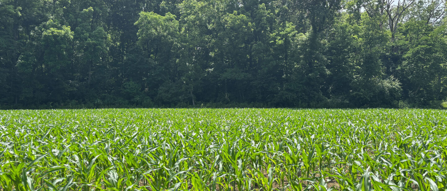 Tillable acreage