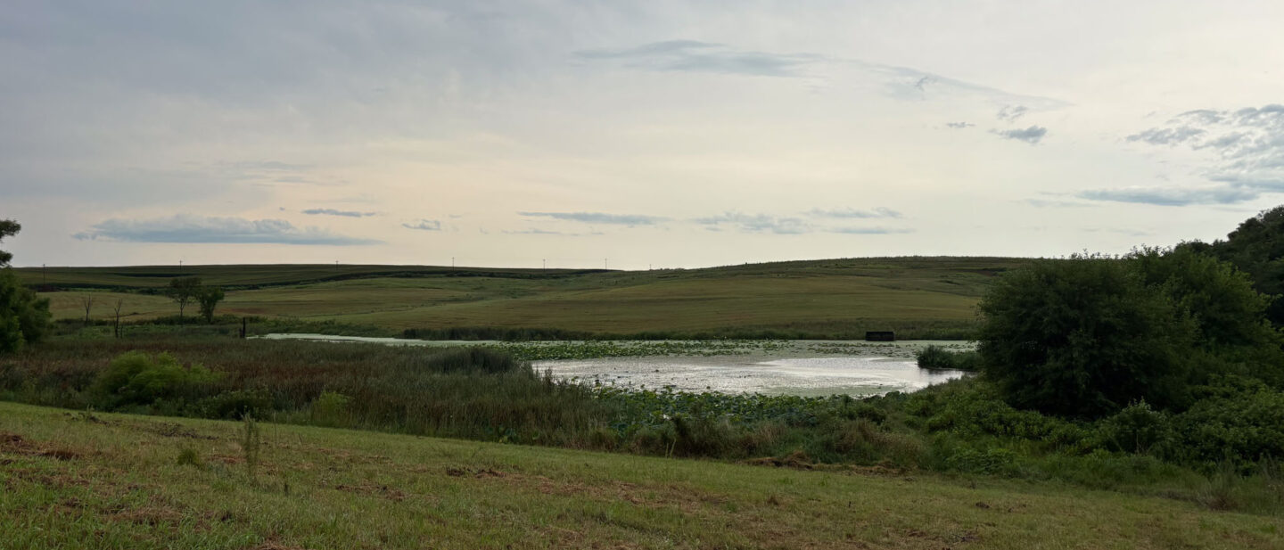 Tr1 CRP Closeup of Pond looking SW