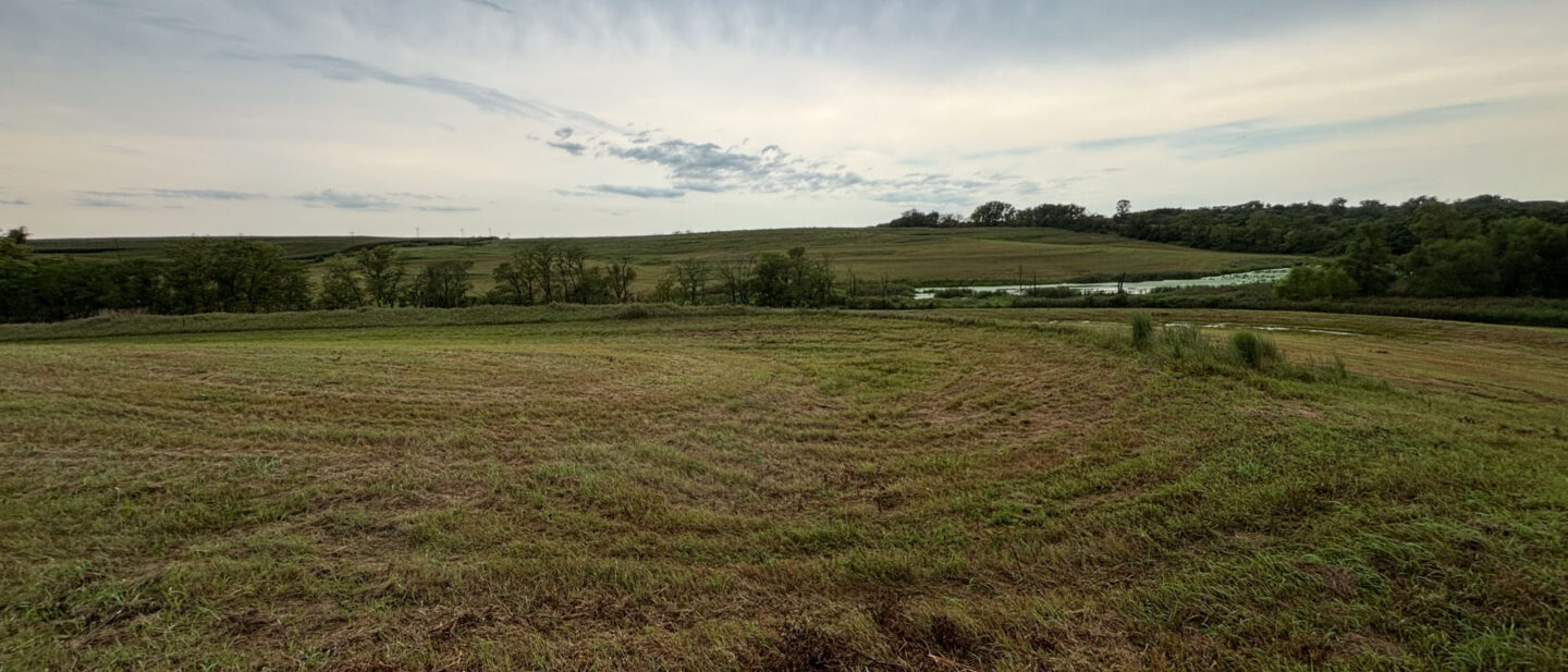Tr1 CRP NE Corner to SW Pond
