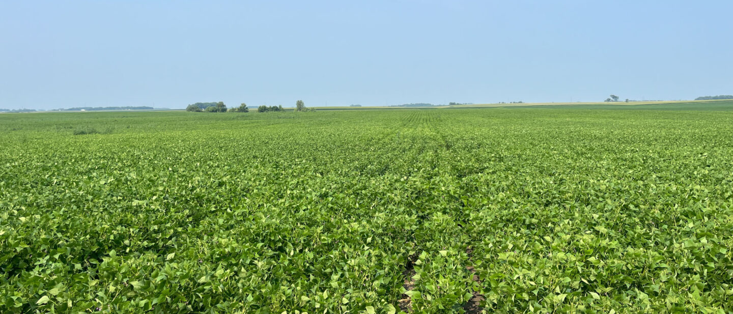 Tract 1 60 ac field by hwy