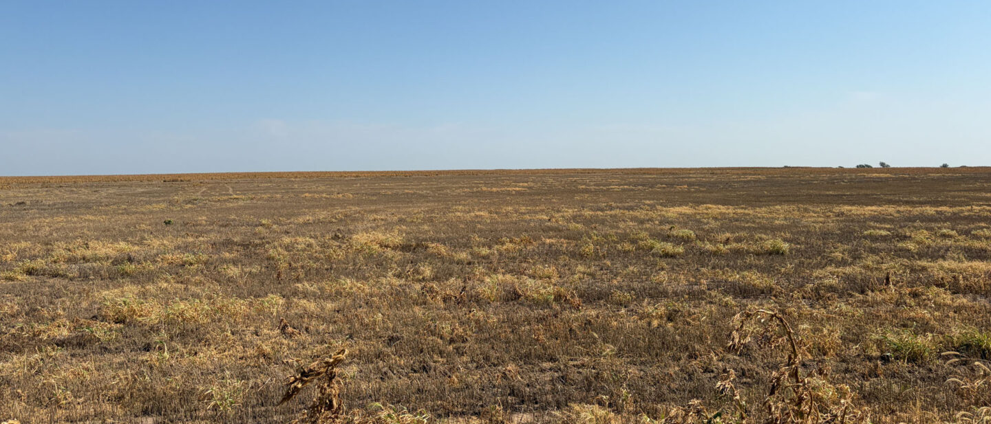 Tract 1 A 10293 online Rooks County Ks