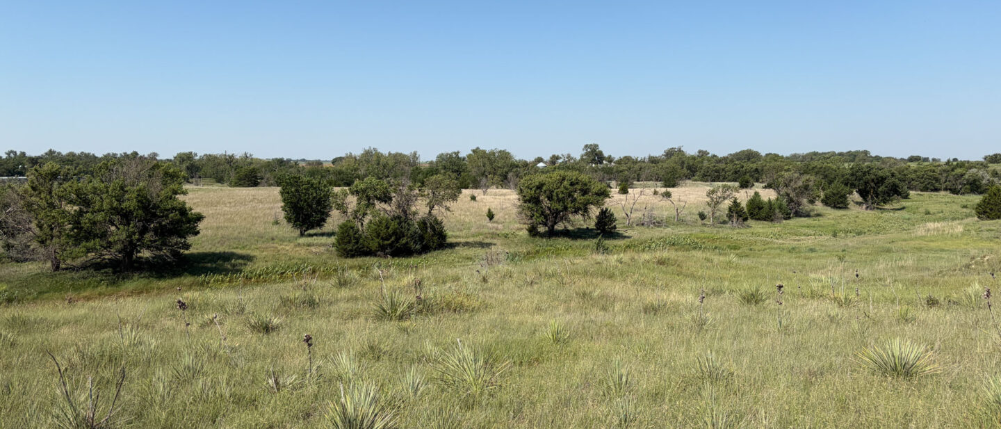 Tract 1 A10293 online Rooks County Ks