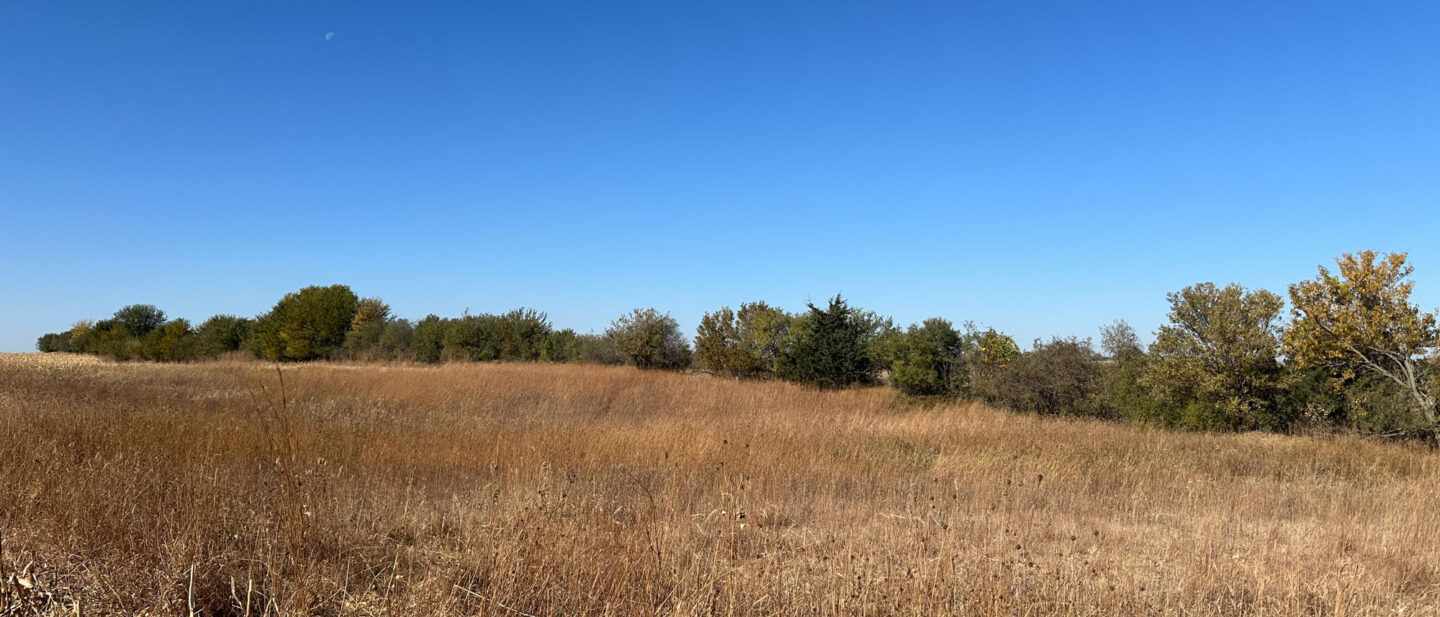 Tract 1 North CRP Acres