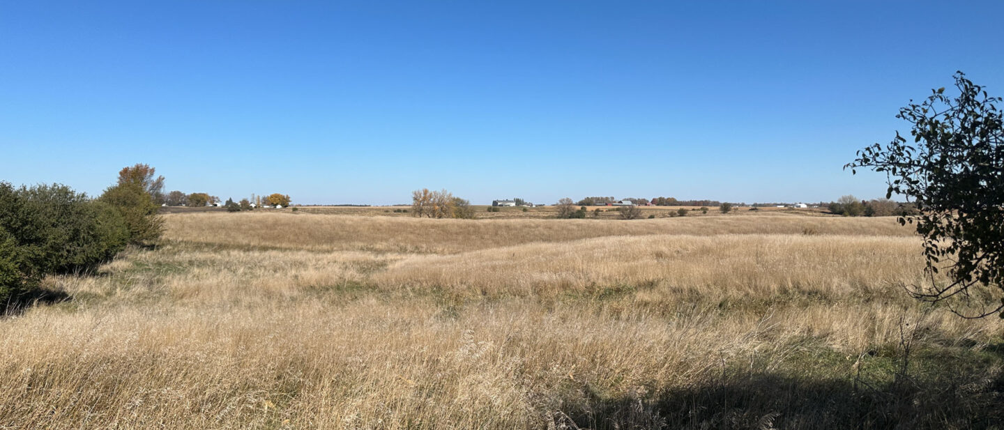 Tract 1 North Pasture View