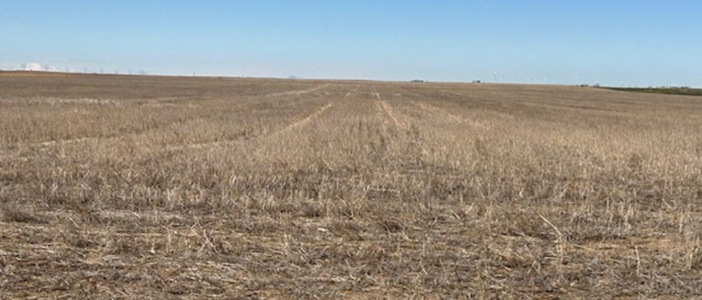 Tract 1 Wheat Stubble