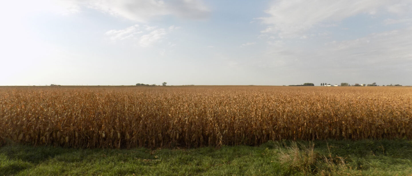 Tract 1 cropland 1