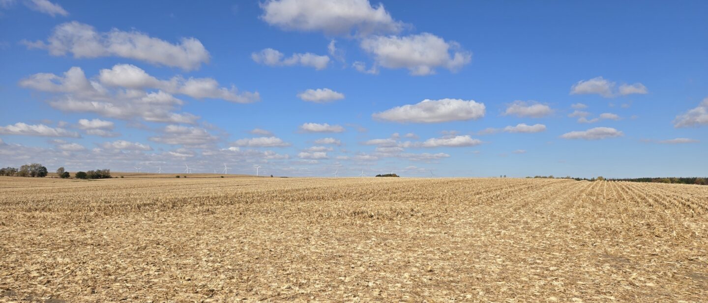 Tract 1 field entrance looking NW