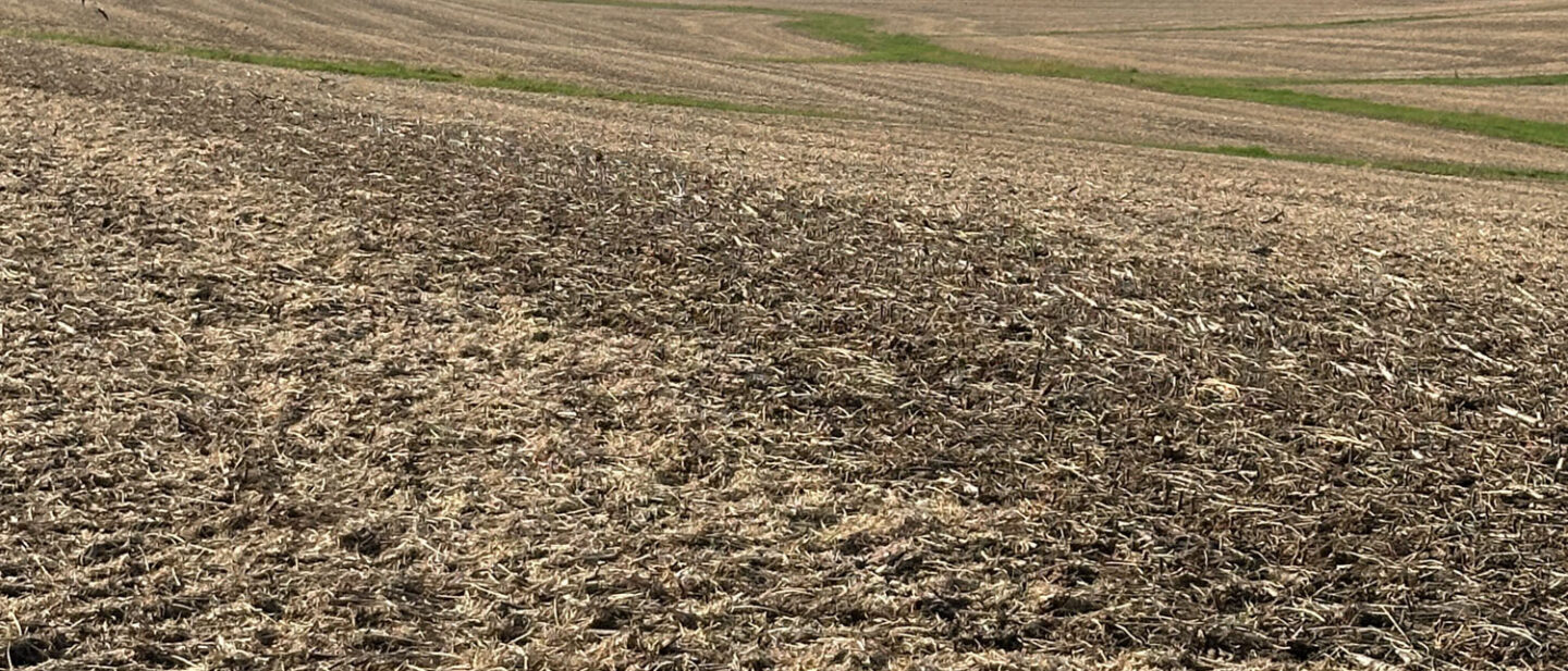 Tract 1 looking SW