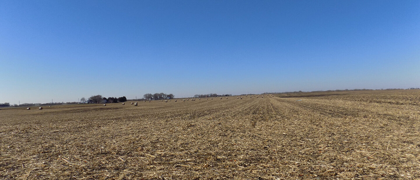 Tract 1 looking northeast