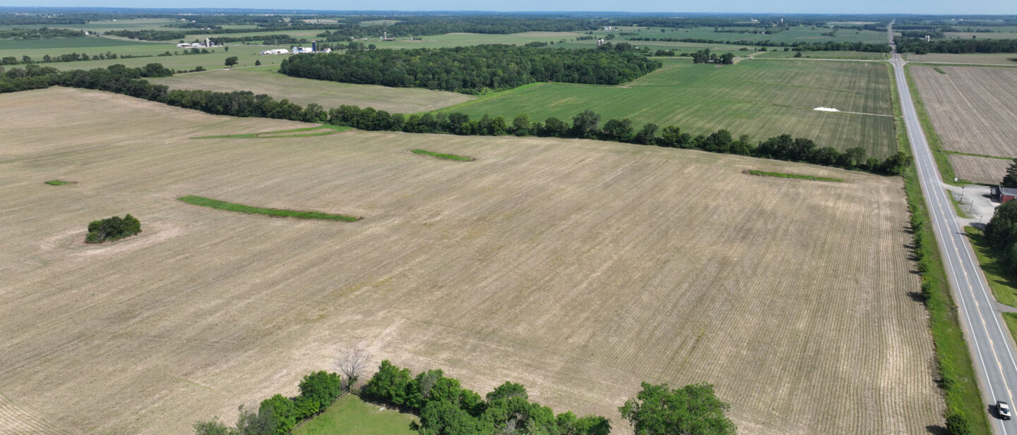 Tract 10 East boundary looking northwest