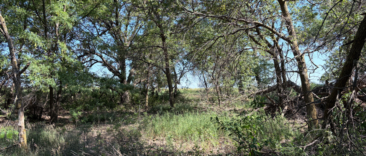Tract 2 A 10294 online Rooks County KS