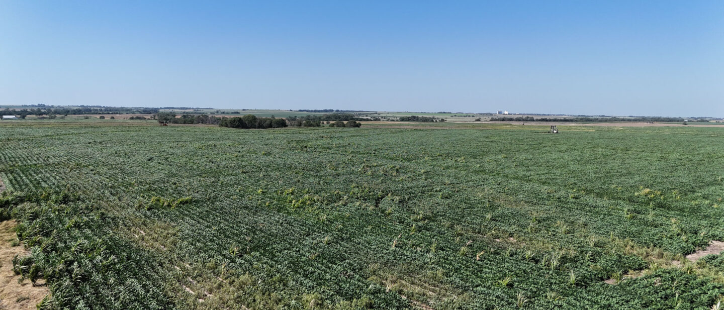 Tract 2 A 10294 online Rooks County KS