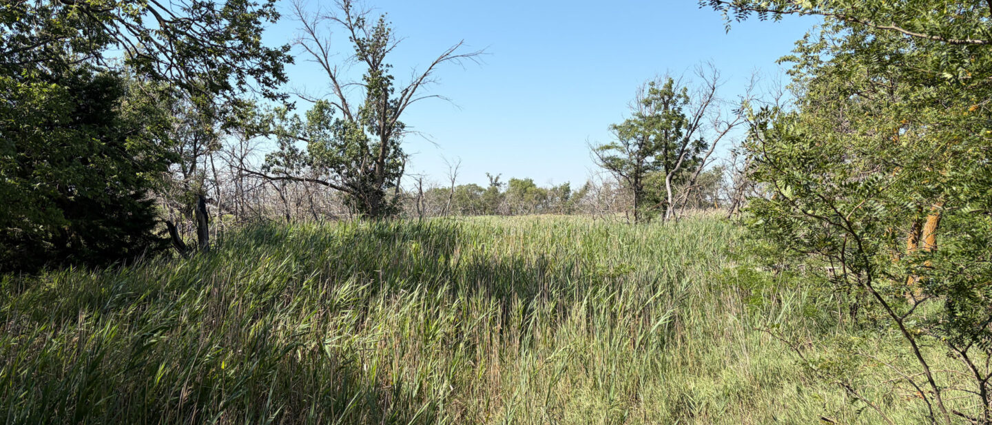 Tract 2 A10294 online Rooks County KS