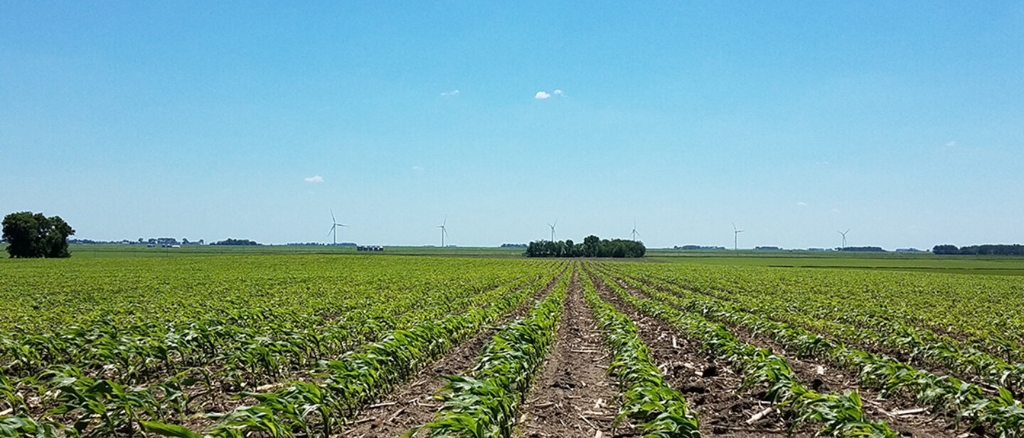 Tract 2 East Side of Farm