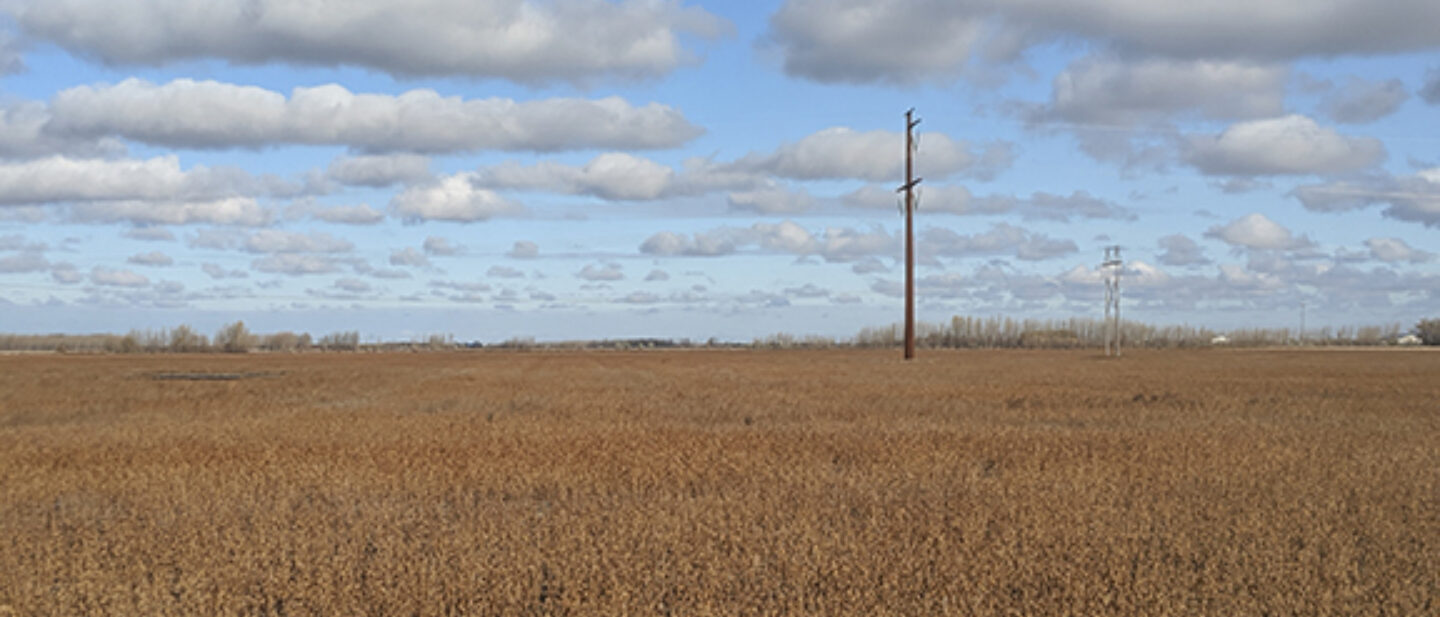 Tract 2 Facing north