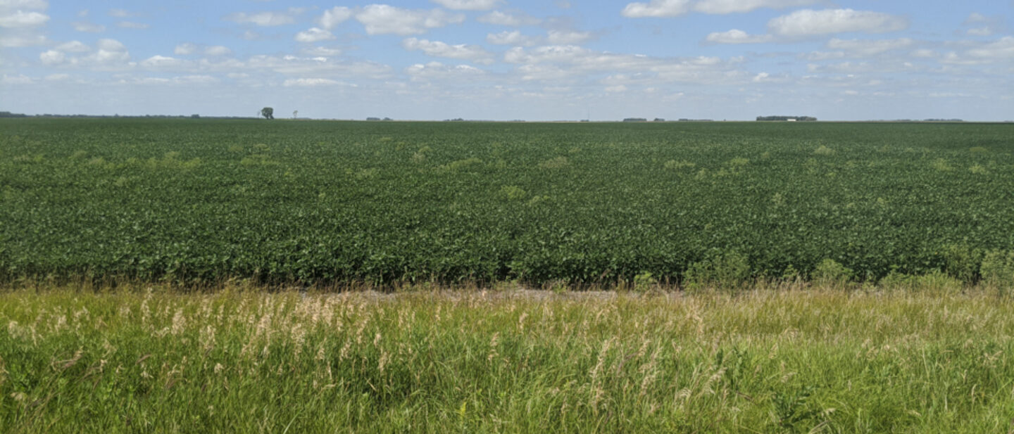 Tract 2 Facing west on south side