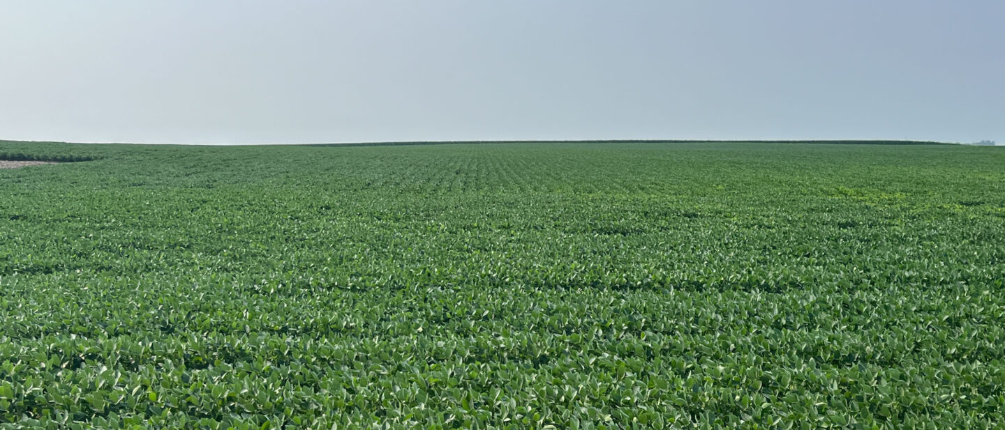 Tract 2 Field by building site