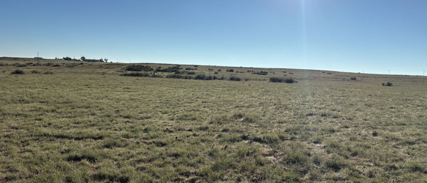 Tract 2 Grass