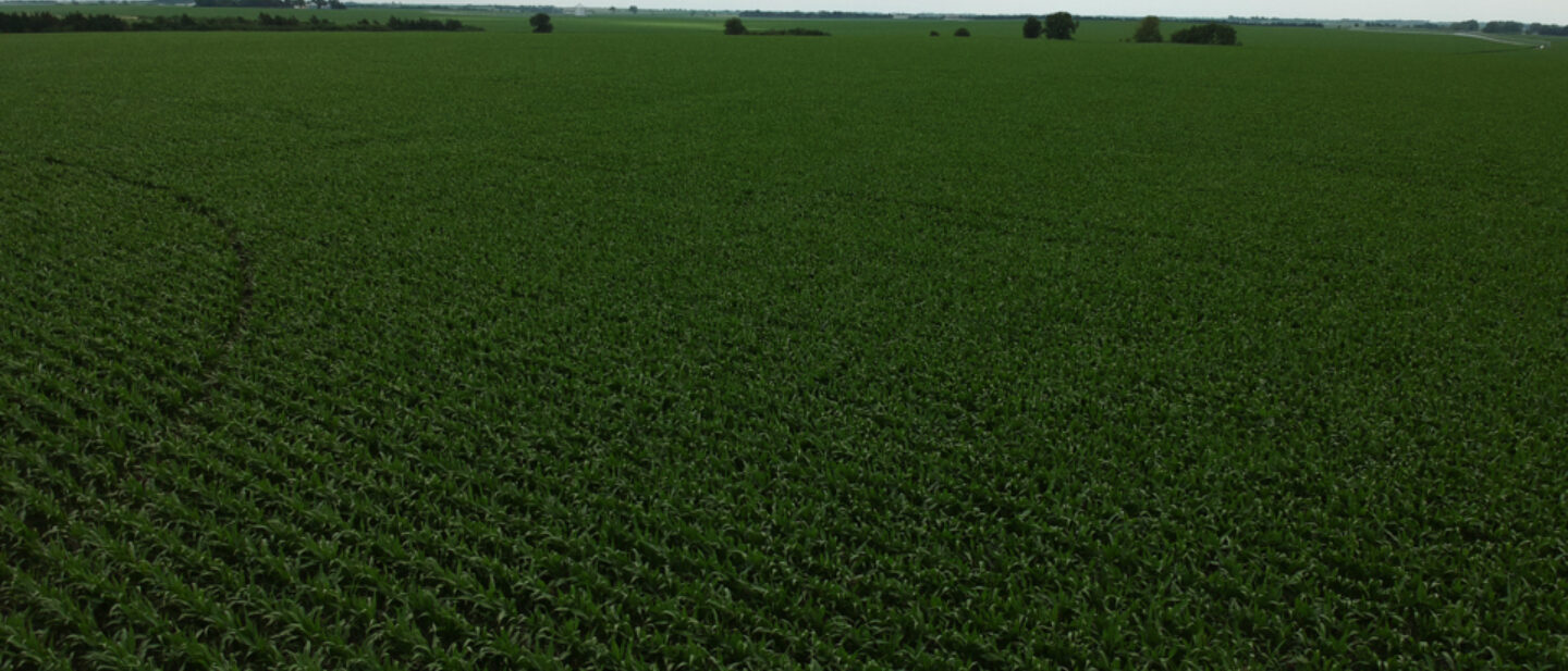 Tract 2 Image of Farm 3