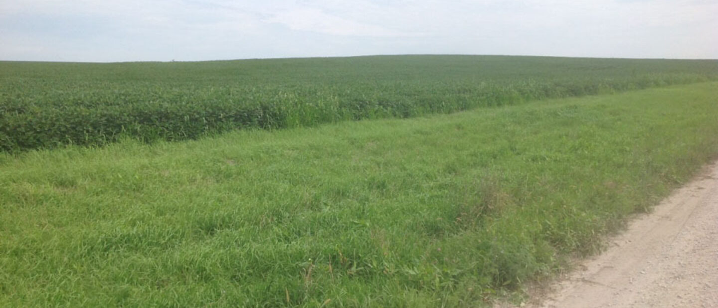 Tract 2 Nebraska Productive Farm for Sale Cass County